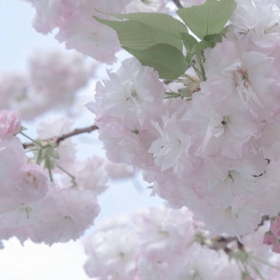 Furry绘画光影解析FurryQQ群